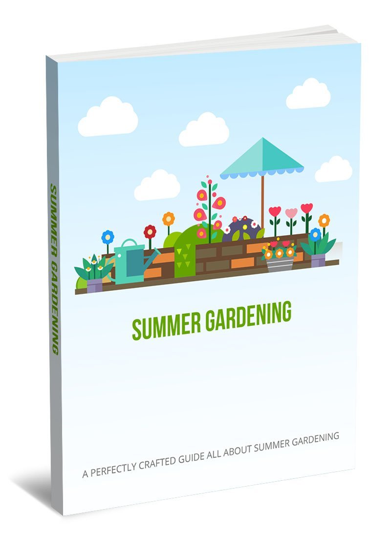 Jardinagem de Verão