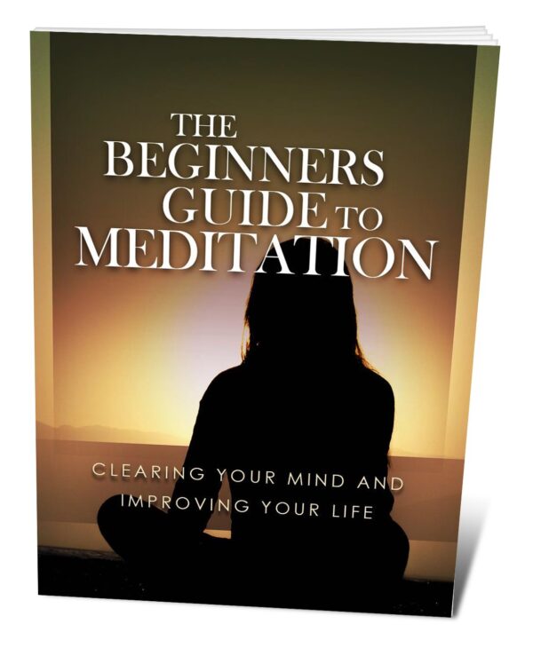 O Guia para Iniciantes em Meditação