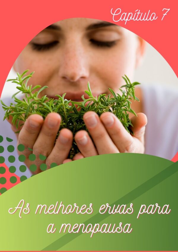 Formas naturais de superar a Menopausa - Image 14