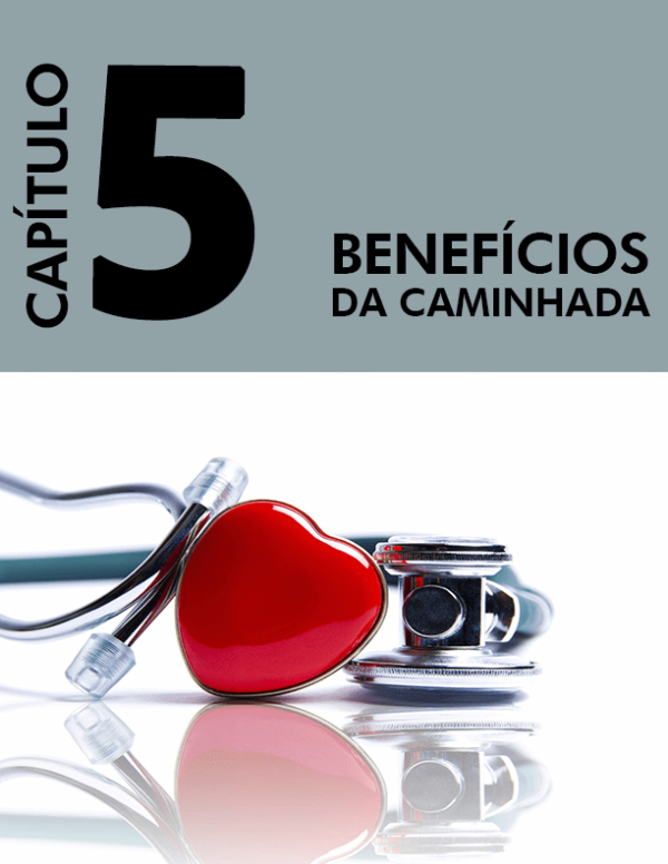 Caminhar para ser Margra - Image 7