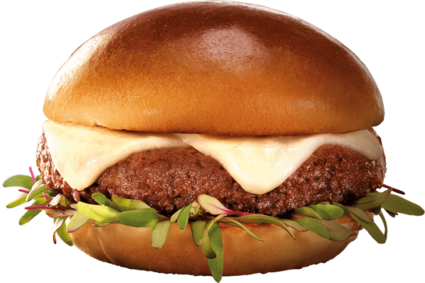 RECEITAS DE HAMBURGUER - Image 4
