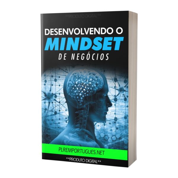 Desenvolvendo o Mindset de Negócios